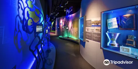 ASM EXPERIENCE - L'immersion Rugby