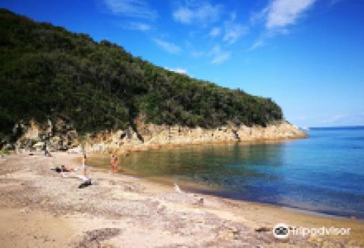 Spiaggia della Lamaia景点图片