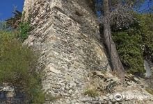 Torre Saracena景点图片