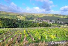 Holmfirth Vineyard景点图片
