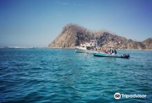 Nosara Tico Surf School购物图片