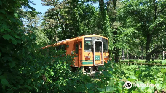 蘆野公園