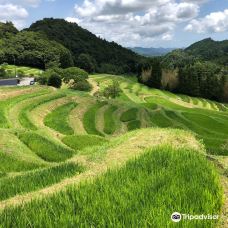 Oyama Rice Terraces-鸭川市