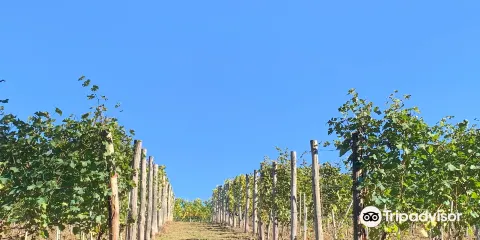 Ecomuseo delle Rocche del Roero