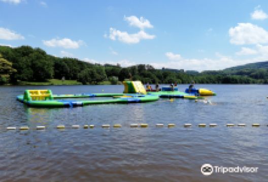 Etang de Courtille景点图片