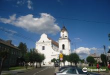 Kościół franciszkanów w Drohiczynie pw. Wniebowzięcia Najświętszej Marii Panny景点图片