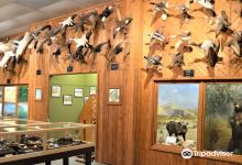 Brazosport Museum of Natural Science景点图片