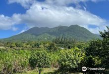 St. Kitts Eco-Park景点图片