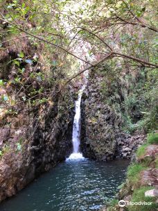 Pauanui Waterfall-帕瓦努伊