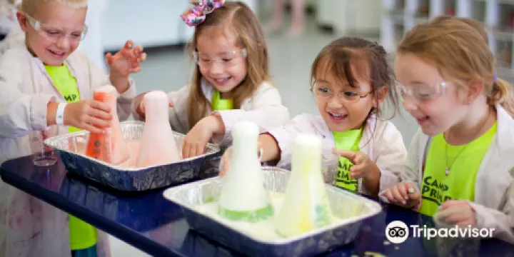 Little Beakers - The Woodlands