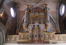 Quartier de la Cathédrale Sainte-Marie景点图片
