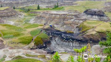 Horseshoe Canyon