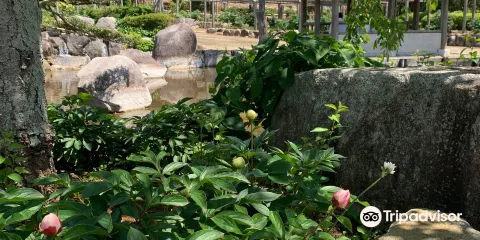 Peony and Green Hill Park