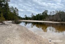 Blackwater River State Park景点图片