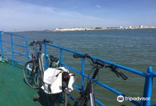 Martin's E-Bike购物图片