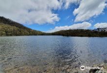 Lake Dobson Rd景点图片