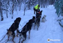 Husky Farm Ulybka Alyaski景点图片