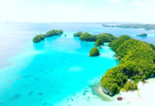 Oasis Palau景点图片