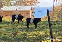 Aldermere Farm景点图片