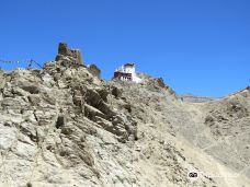 Namgyal Tsemo Monastery-印度