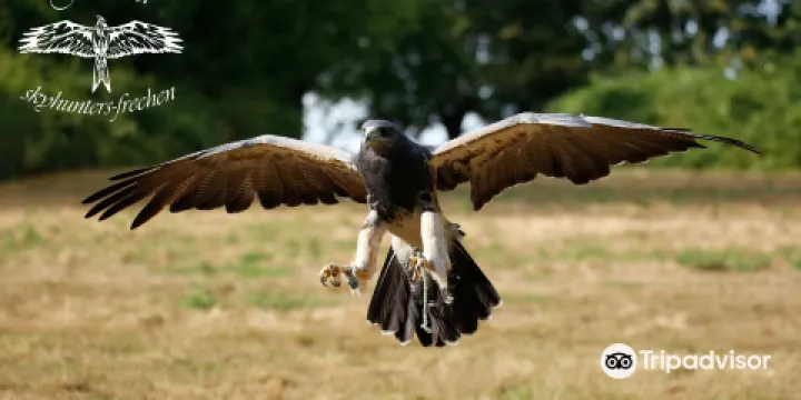 skyhunters in nature -frechen