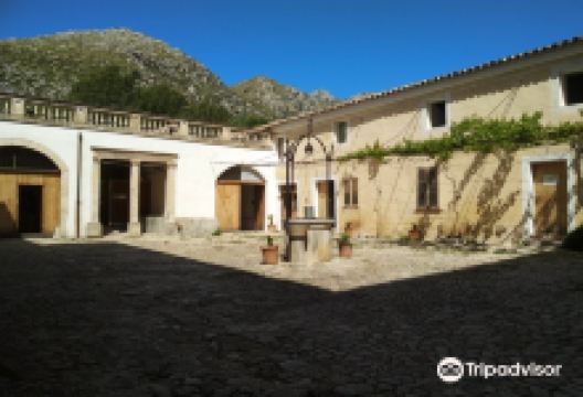 Finca Galatzo景点图片