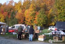 Wilmington Flea Market购物图片
