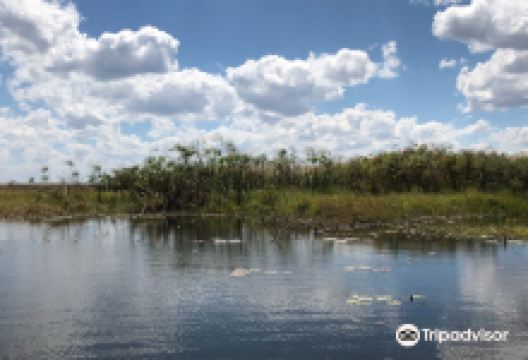 Bangweulu Wetlands景点图片