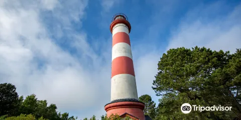 庫爾斯沙嘴國家公園