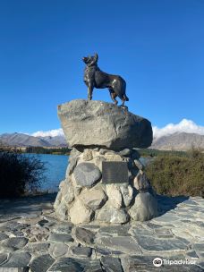 The Sheepdog Memorial-特卡波湖