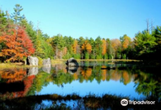 Hardy Lake Provincial Park景点图片
