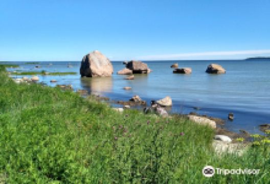 Kasmu Nature and Cultural History Trail景点图片