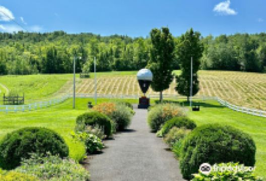 Double Eagle II Balloon Site景点图片