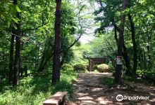 Sengenyama Park景点图片
