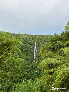Papapapaitai Falls-图阿马萨加