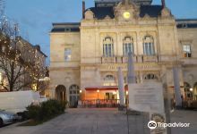 Theatre de Lons-le-Saunier景点图片