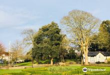 Manor Park Gardens景点图片