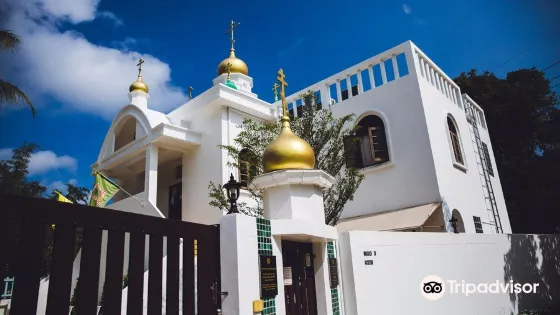 The Orthodox Church