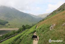 Mardale Ill Bell景点图片