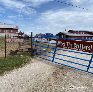 克劳福德 crawford township9张美图景点酒店购物展览演出怎么玩住哪里吃什么whe