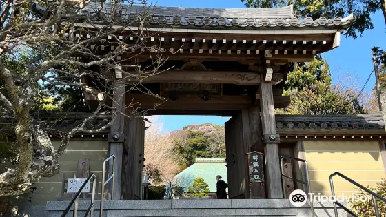 凈妙寺