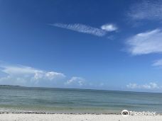 Hemingway Water Shuttle-柯里尔县