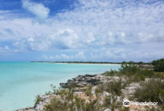 Bonefish Point景点图片