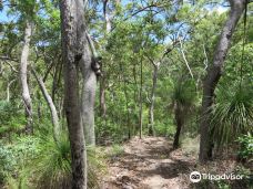 Conway National Park-艾利滩