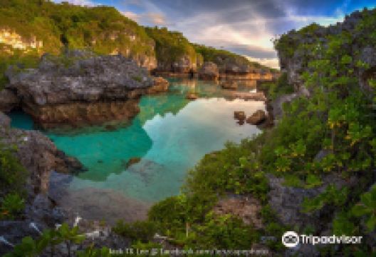 Limu Pools景点图片