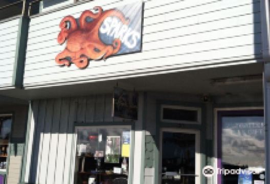 The Sparks Gallery景点图片