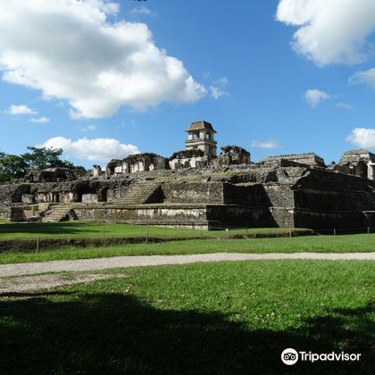 墨西哥墨西哥城奎库尔科金字塔+帕伦克古城和国家公园一日游