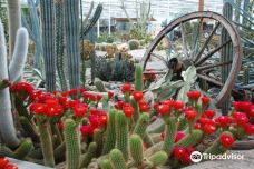 Experiencepark CactusOase-吕洛