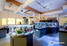 Nicholas Sonntag Marine Education Centre景点图片