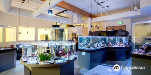 Nicholas Sonntag Marine Education Centre